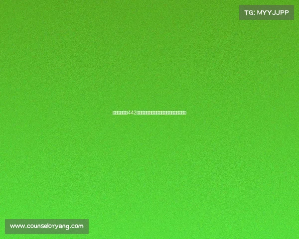 西甲球队常用442阵型战术解析及其在现代足球中的应用与优势